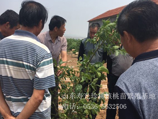 售后現(xiàn)場指導1